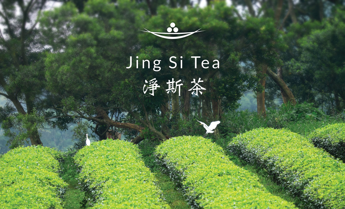 Sally 師姐 At SF Tea Festival's Lecture