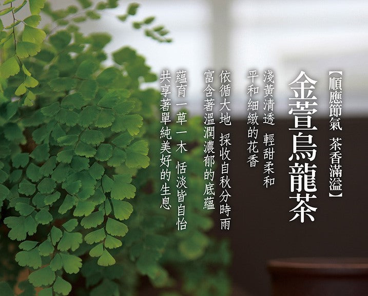 Jinxuan Oolong Tea 金萱烏龍茶 100g Best by 2/24/2026 - Jing Si Books & Cafe