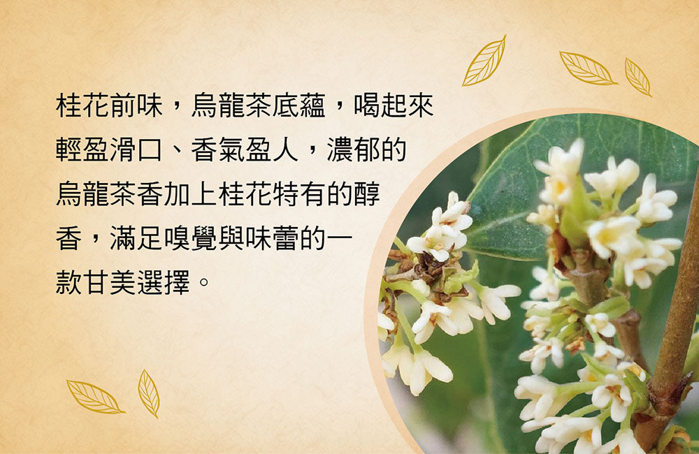 Jing Si Osmanthus Oolong Tea 50g 桂花烏龍茶 50g Best by 5/14/2026